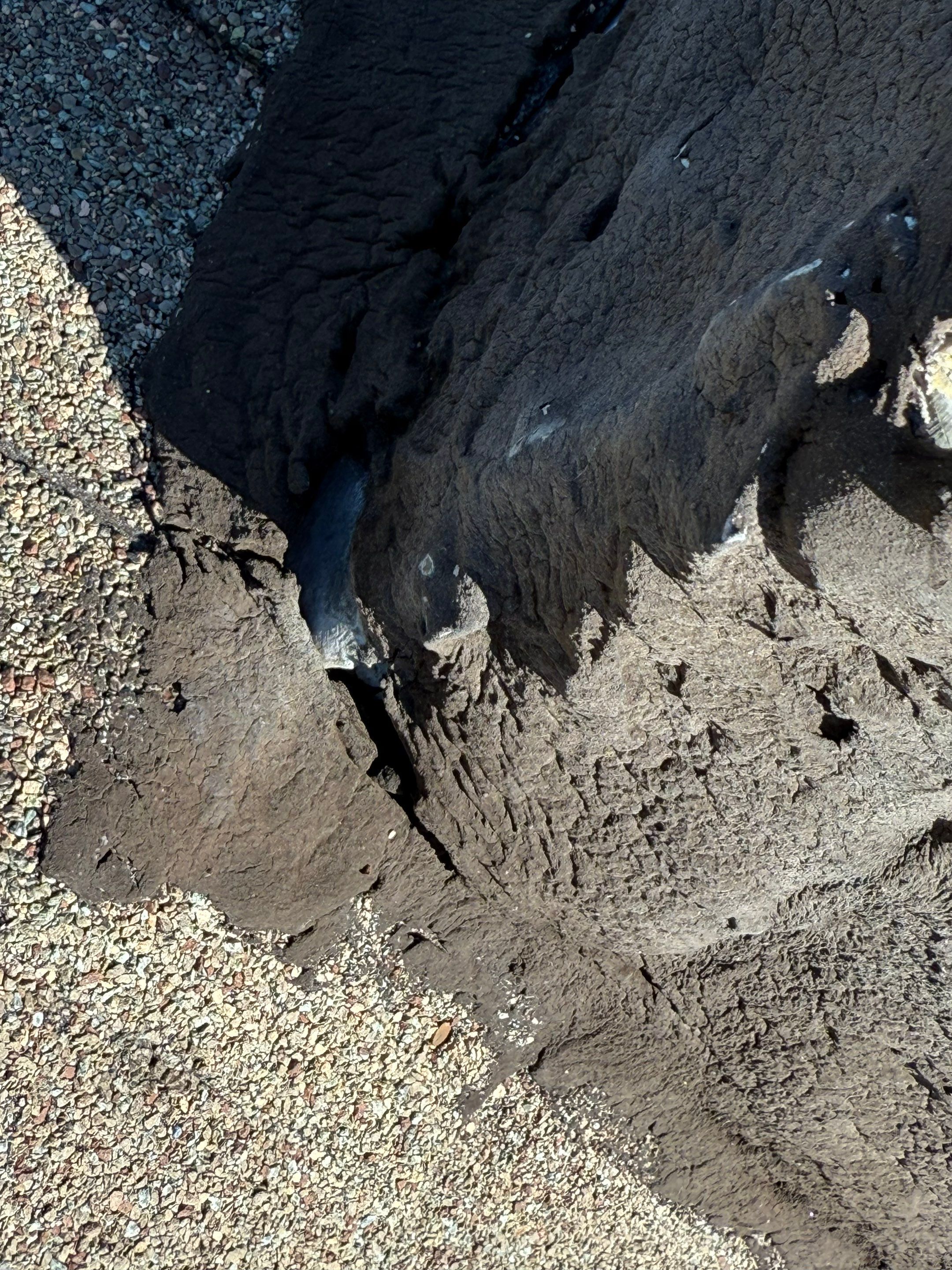 Chimney Flashing, Siding & Roof Leak Repair by Mighty Dog Roofing of Greater Middlesex County