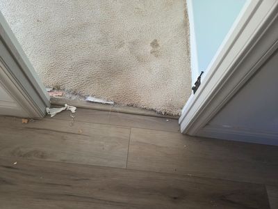 Carpet Repair in Shingle Springs