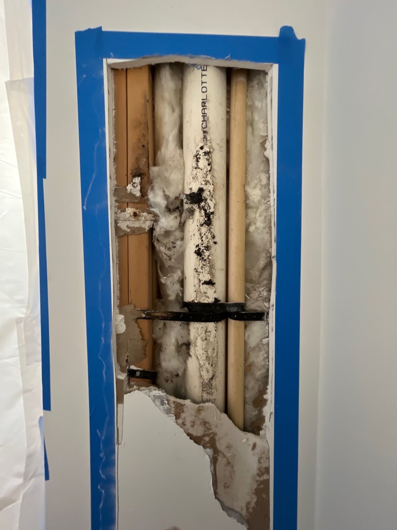 Mold Investigation by EAS Environmental, LLC.