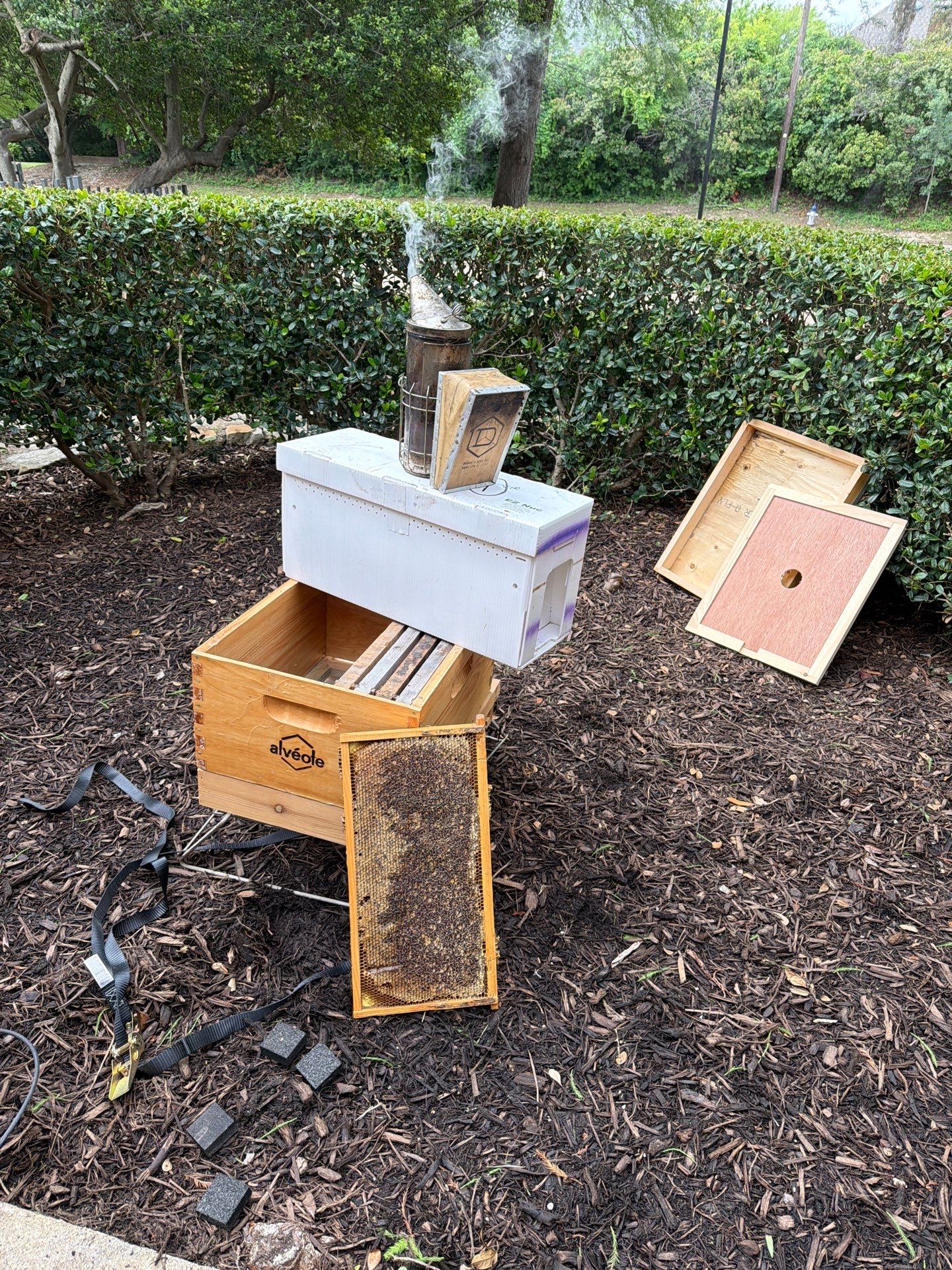 Apartment Retreat for Honey Bees in Garland by Rockwall Honey Bee Company