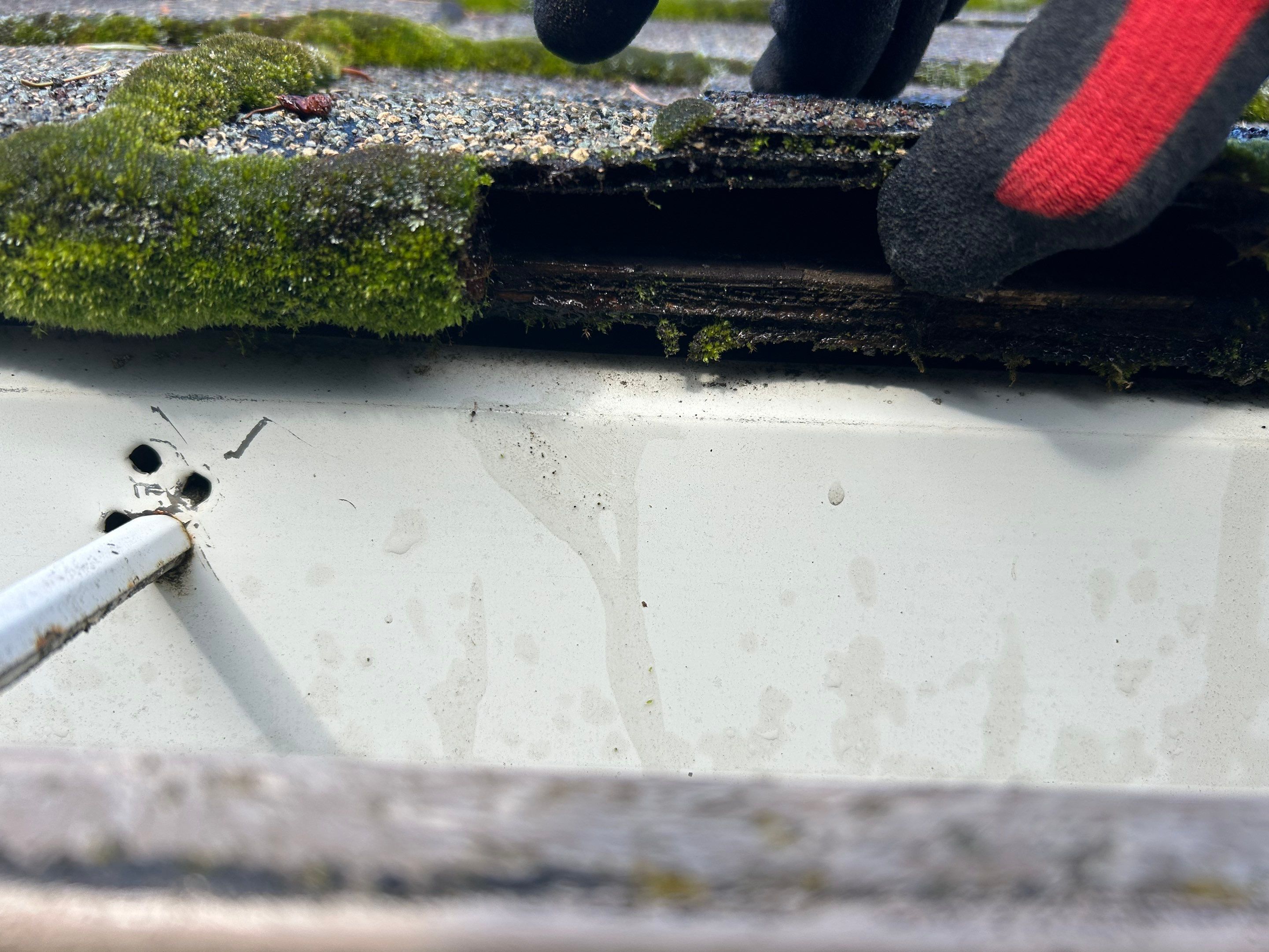 Roof Replacement in Hillsboro by Prodigy Roof Solutions
