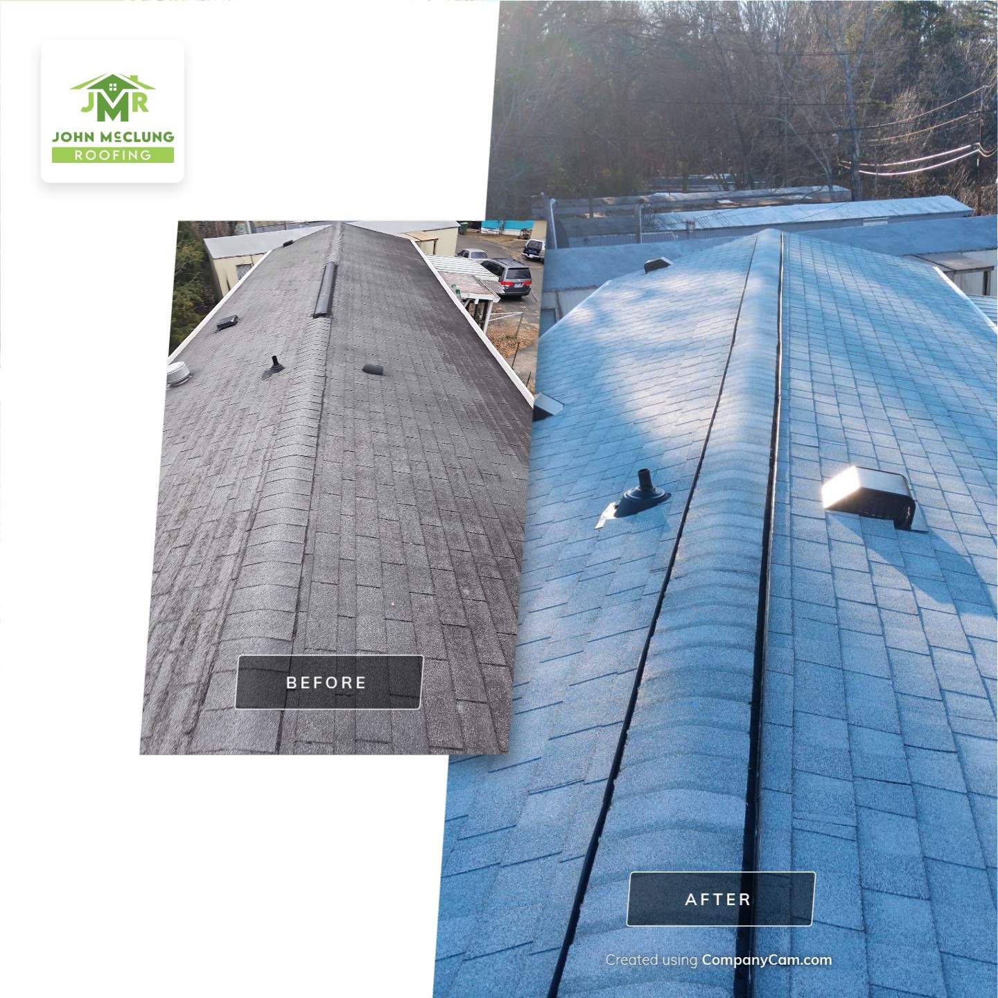 Silver Birch by John McClung Roofing