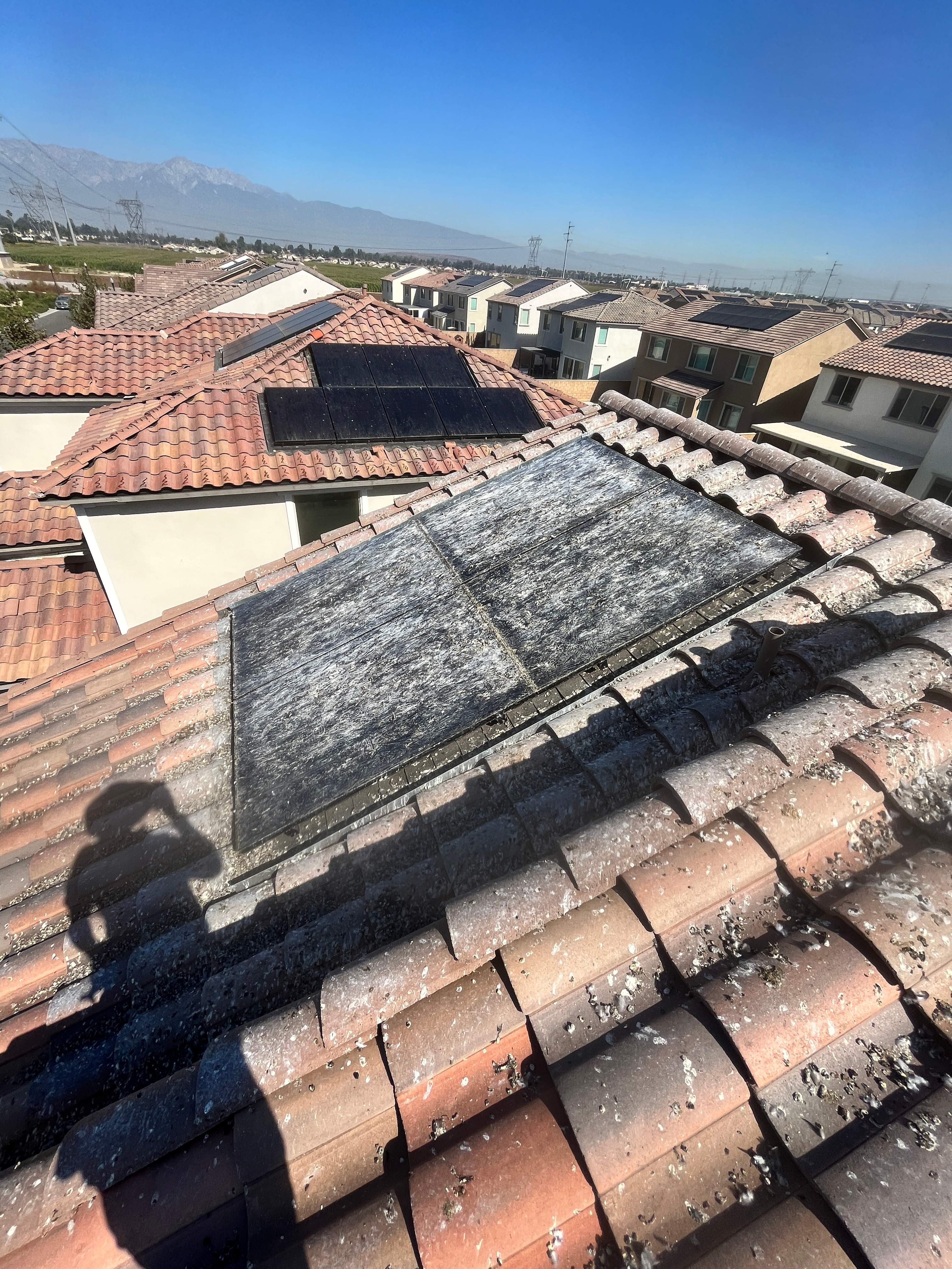 Bird Proofing Solar Panels in Ontario Ca by Palm Coast Solar Cleaning
