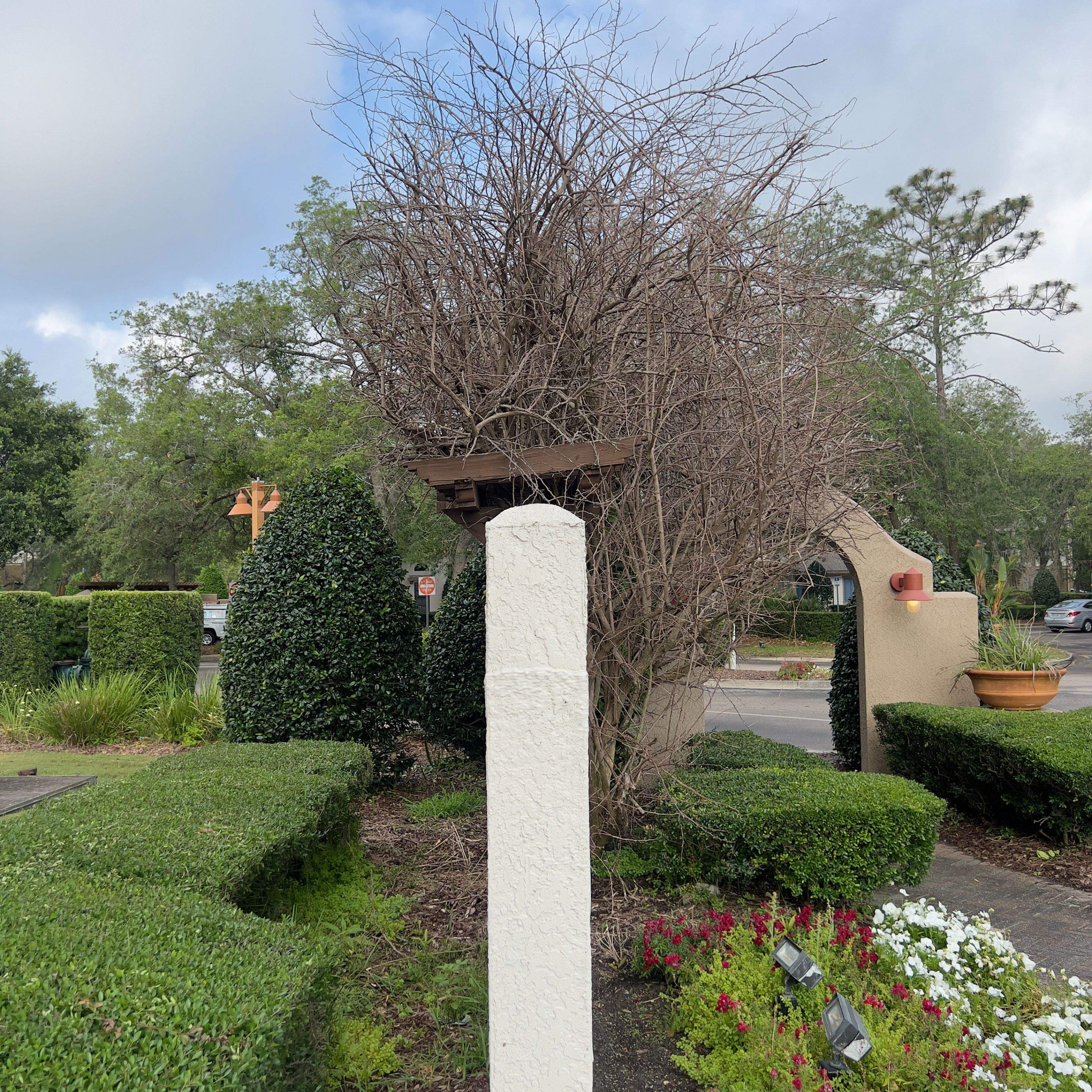 Tree Work | William's Walk Condominiums by ProGreen Services