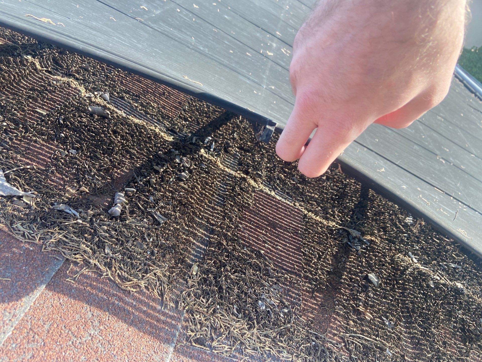 Roof Rejuvenation using Roof Maxx Treatment by Roof Maxx of Folsom