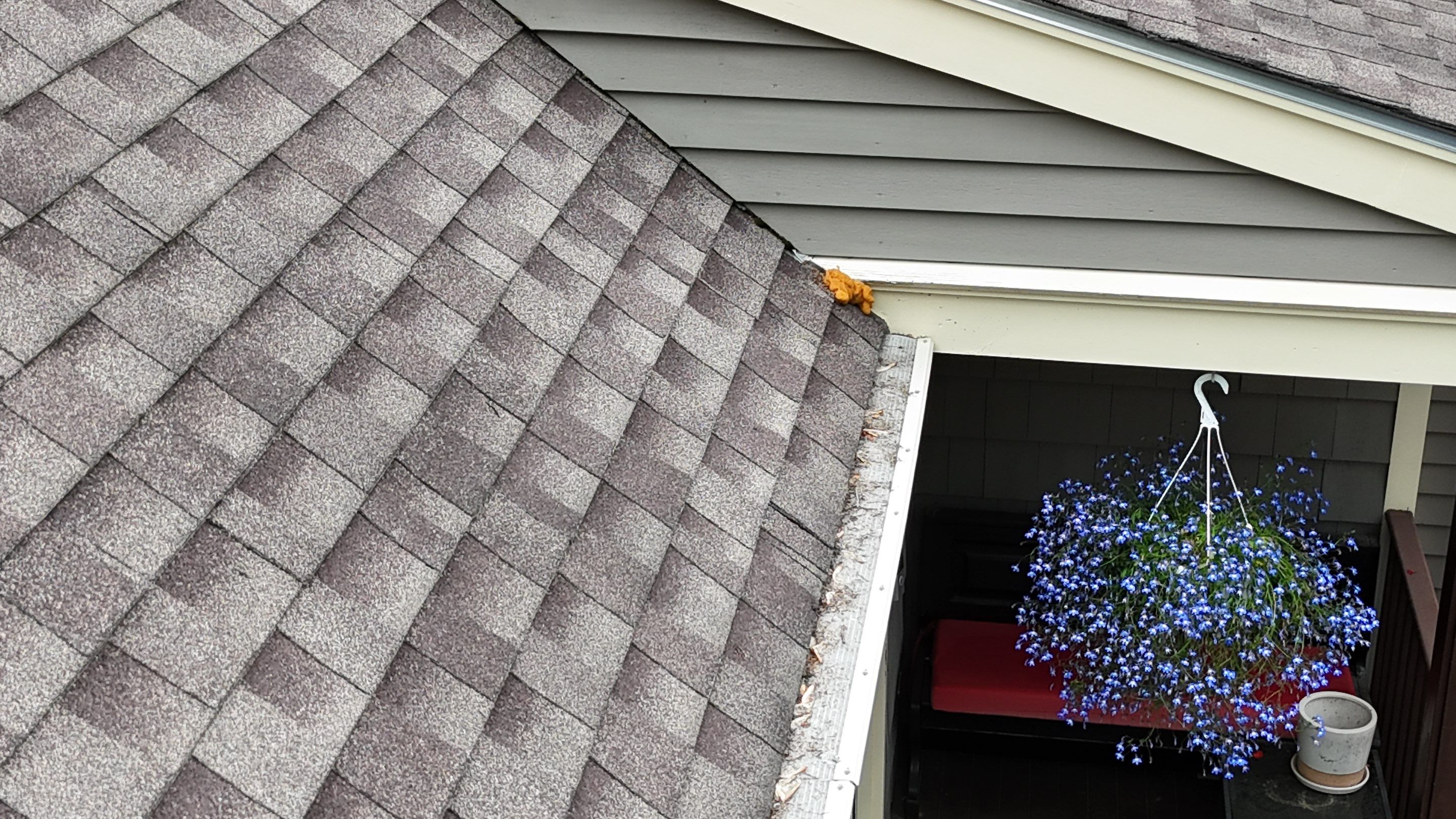 Roofing | Maynard  by Mighty Dog Roofing of Greater Middlesex County