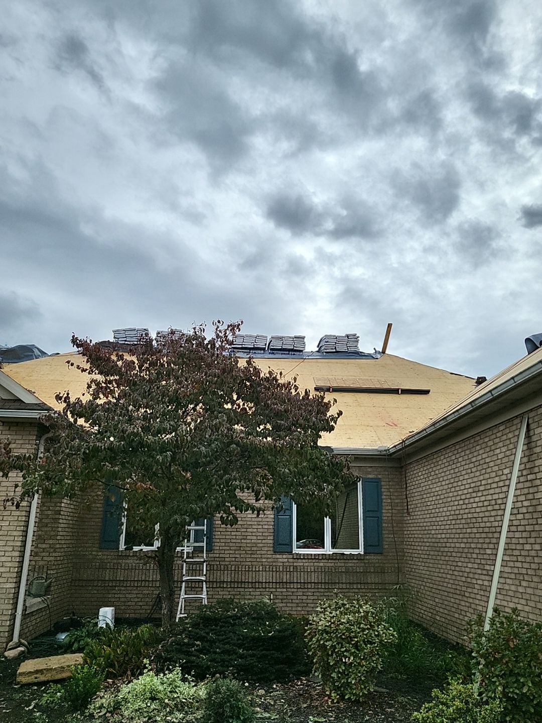 ATLAS PINNACLE COLOR: BLACK SHADOW, DRIP EDGE: BLACK by Eagle Eye Roofing