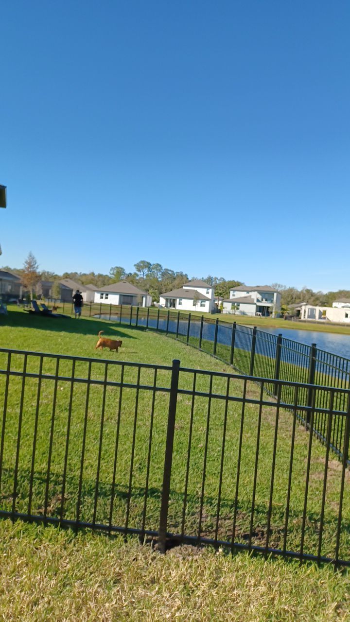 Parrish, FL 4 ft. Tall 3-Rail Black Aluminum  by Asap fence and gates, LLC
