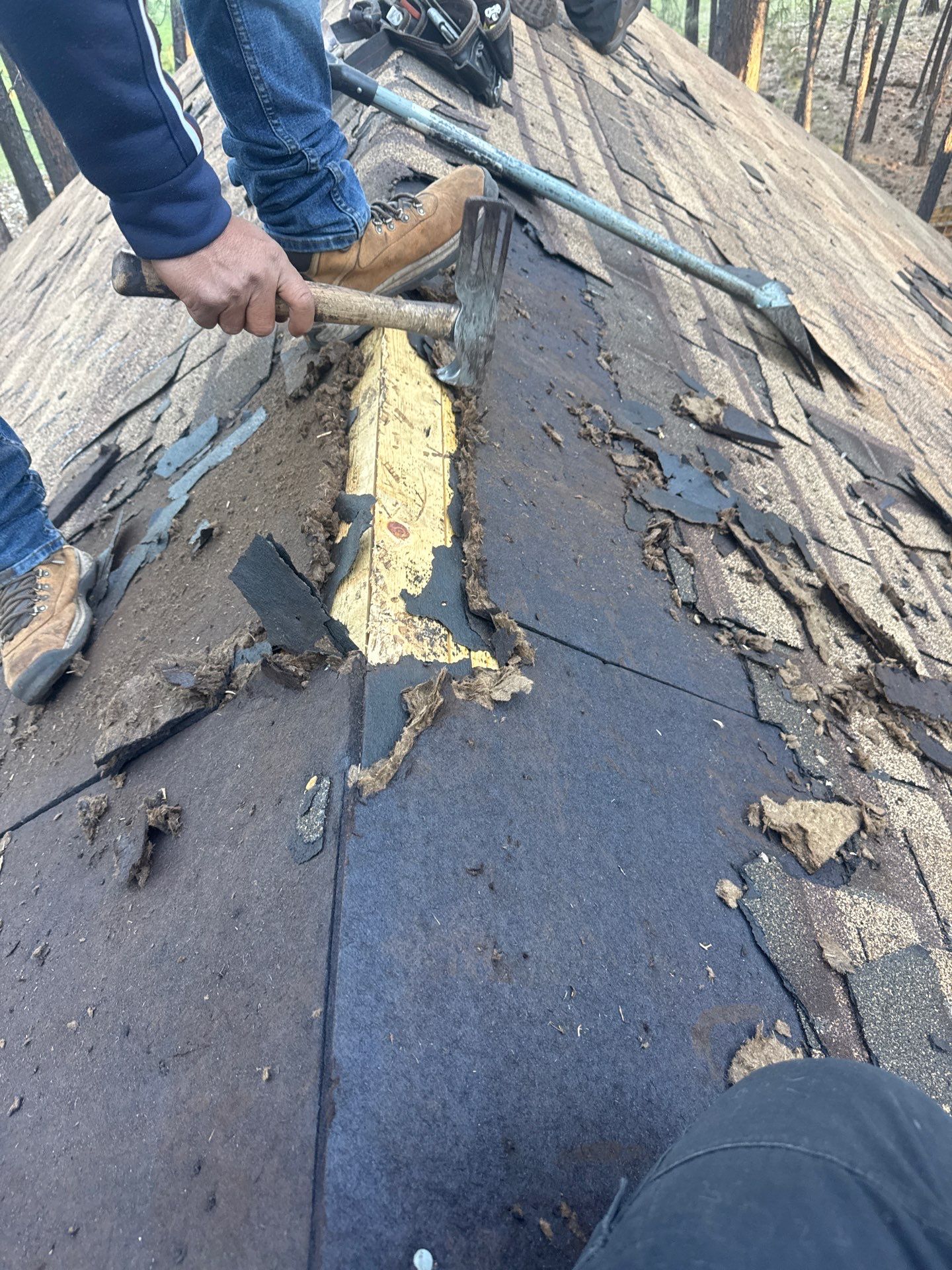 Midnight Black - Pinetop by Slade Roofing