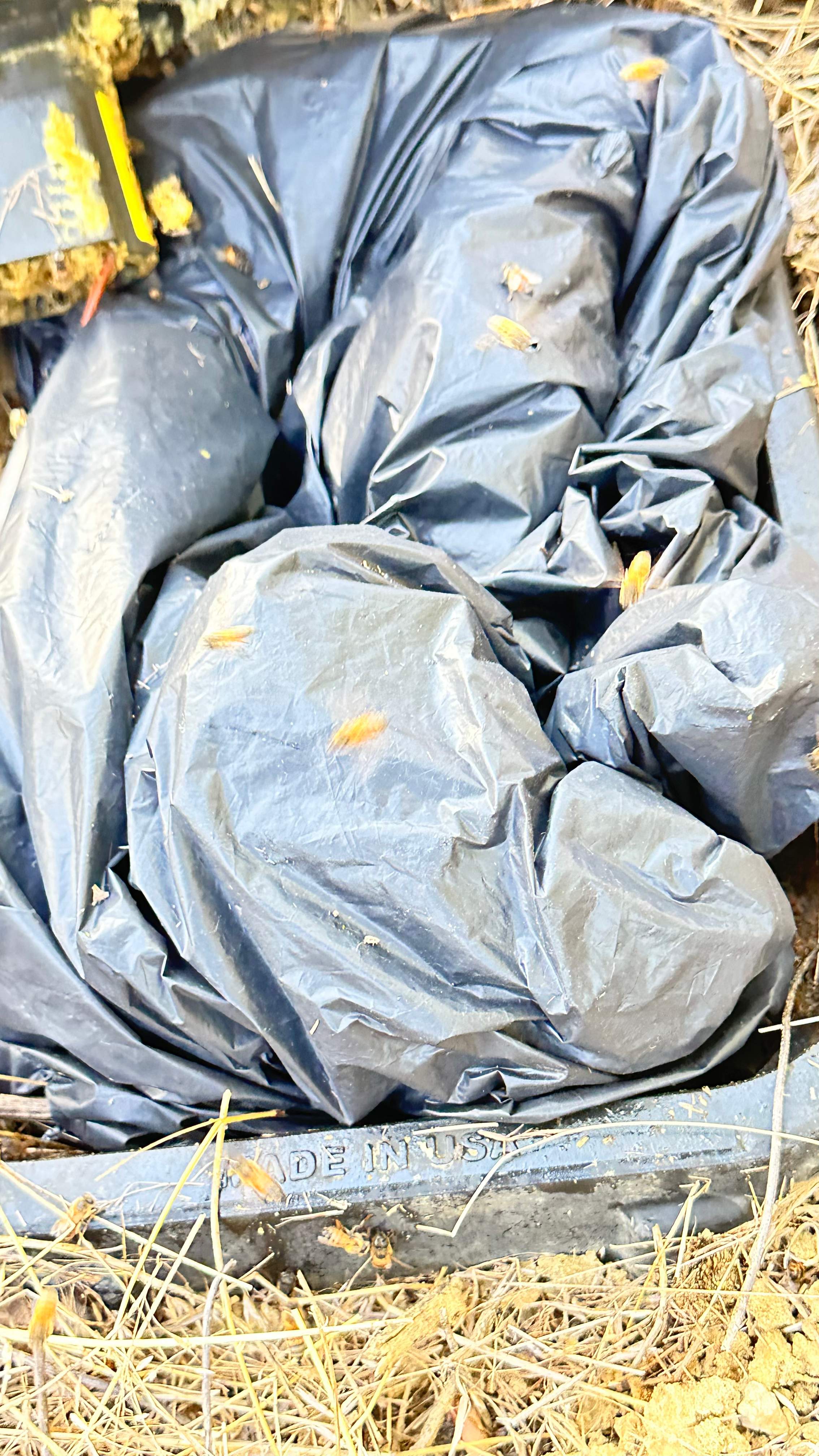 Well Meter by Rockwall Honey Bee Company