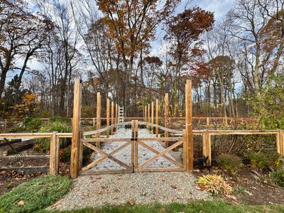 Epic Vegetable Garden using Cedar Raised Beds
