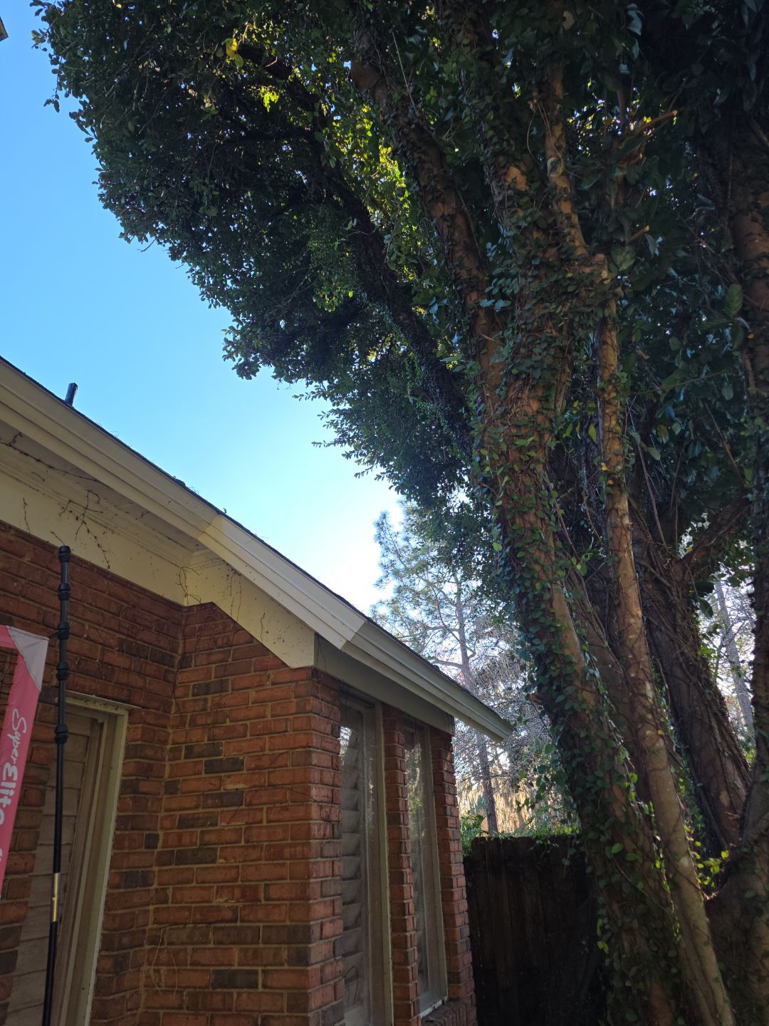 Deerwood Resident | Tree Service by ProGreen Services