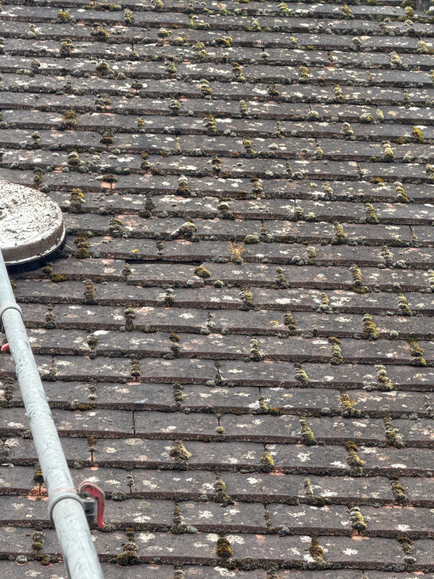 Roof Clean  - Moss Removal - Gutter Clean using Honda 15lpm Low Pressure Washing Machine by Ges Exterior Cleaning ltd