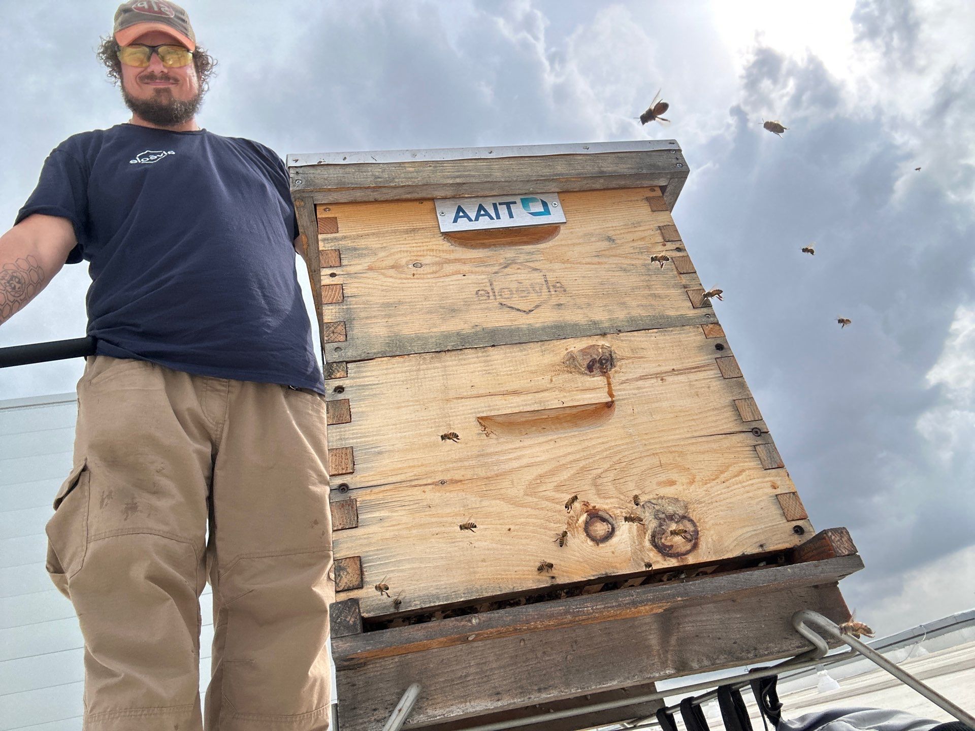 Rooftop Bees in Frisco by Rockwall Honey Bee Company