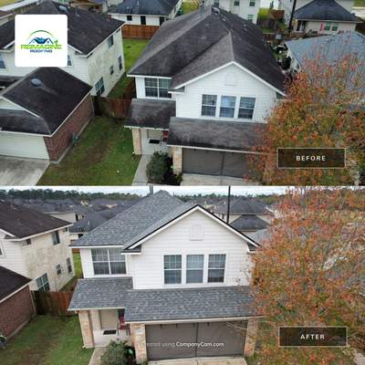 Silver Birch Shingles