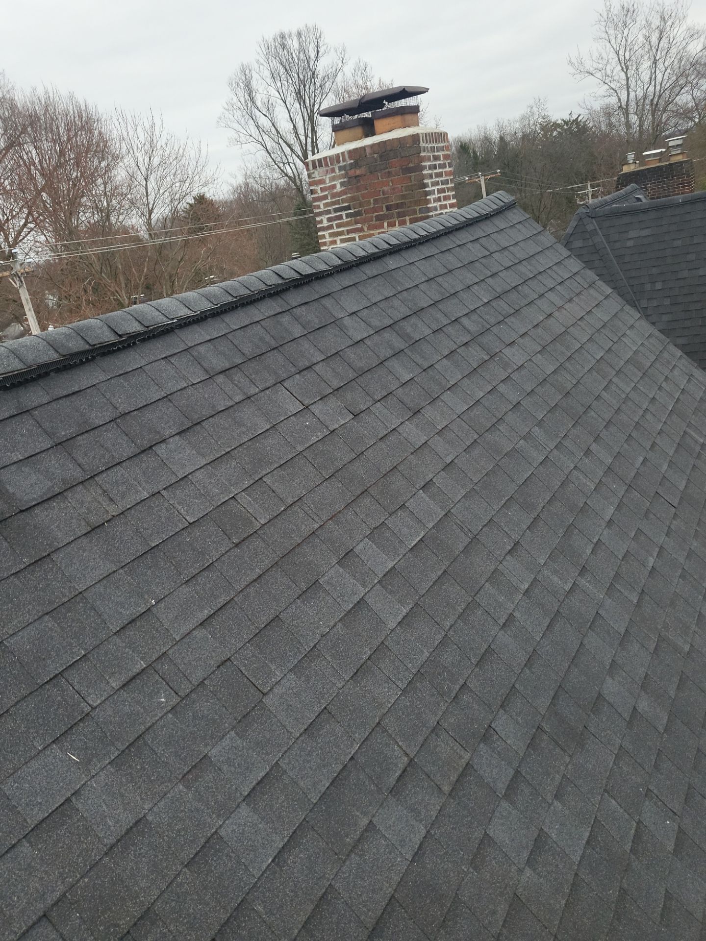 Atlas Pinnacle Color: Black Shadow, Drip Edge: Black by Eagle Eye Roofing