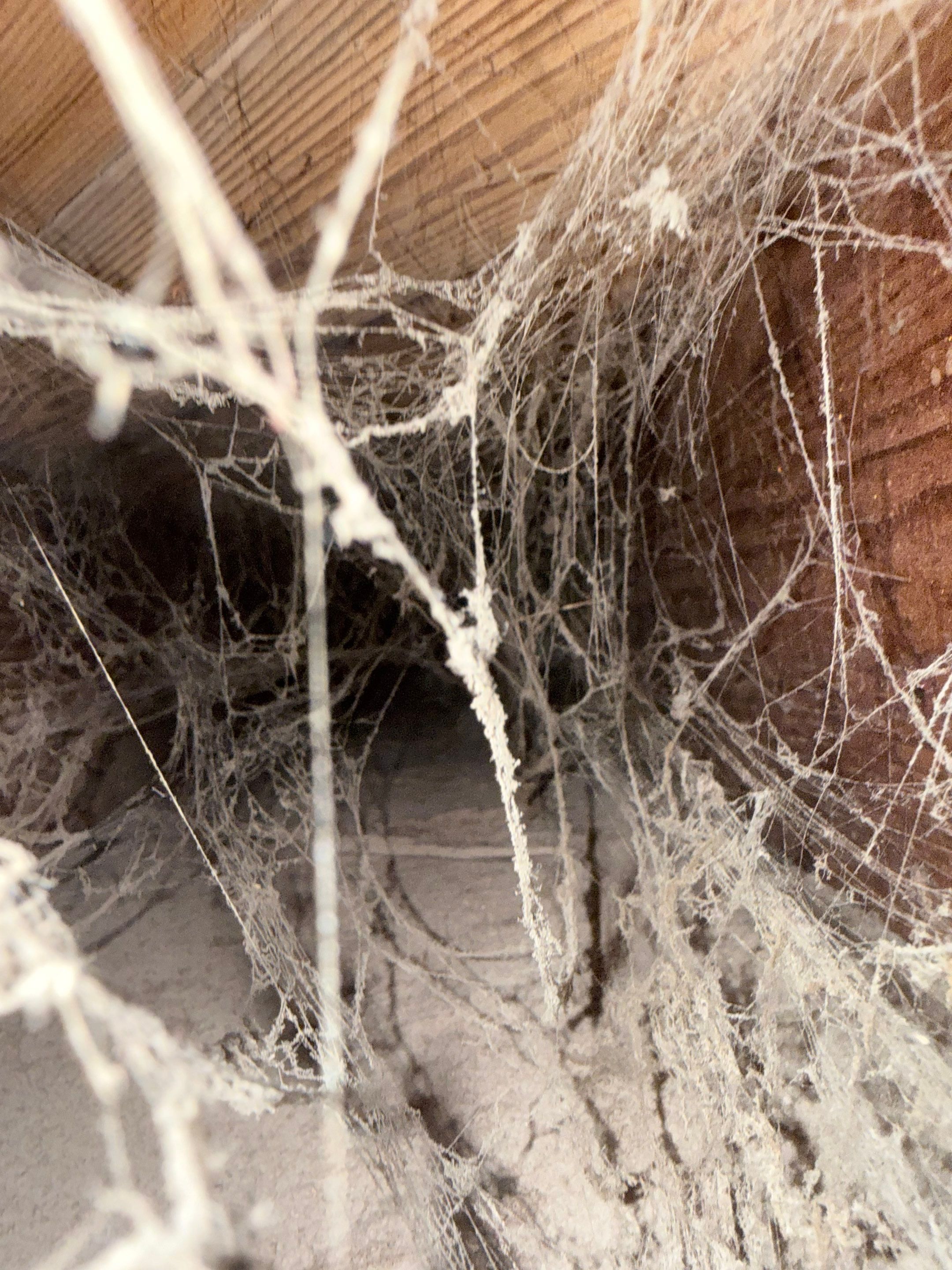 HVAC Duct Cleaning and Debris Extraction by Fox Hill Luxury Real Estate Services