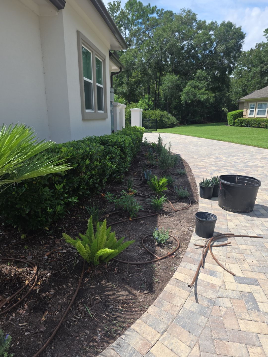 Deerwood Resident | Landscape Update by ProGreen Services