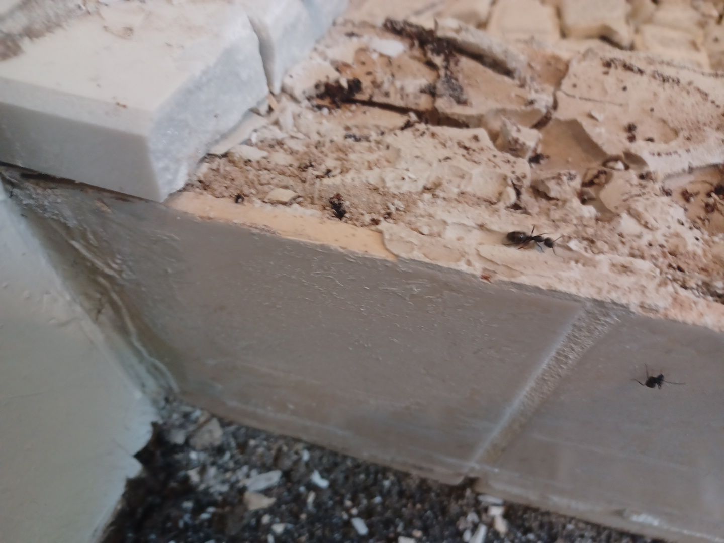 Project in Livonia by EzDry Water Mitigation & Property Restoration