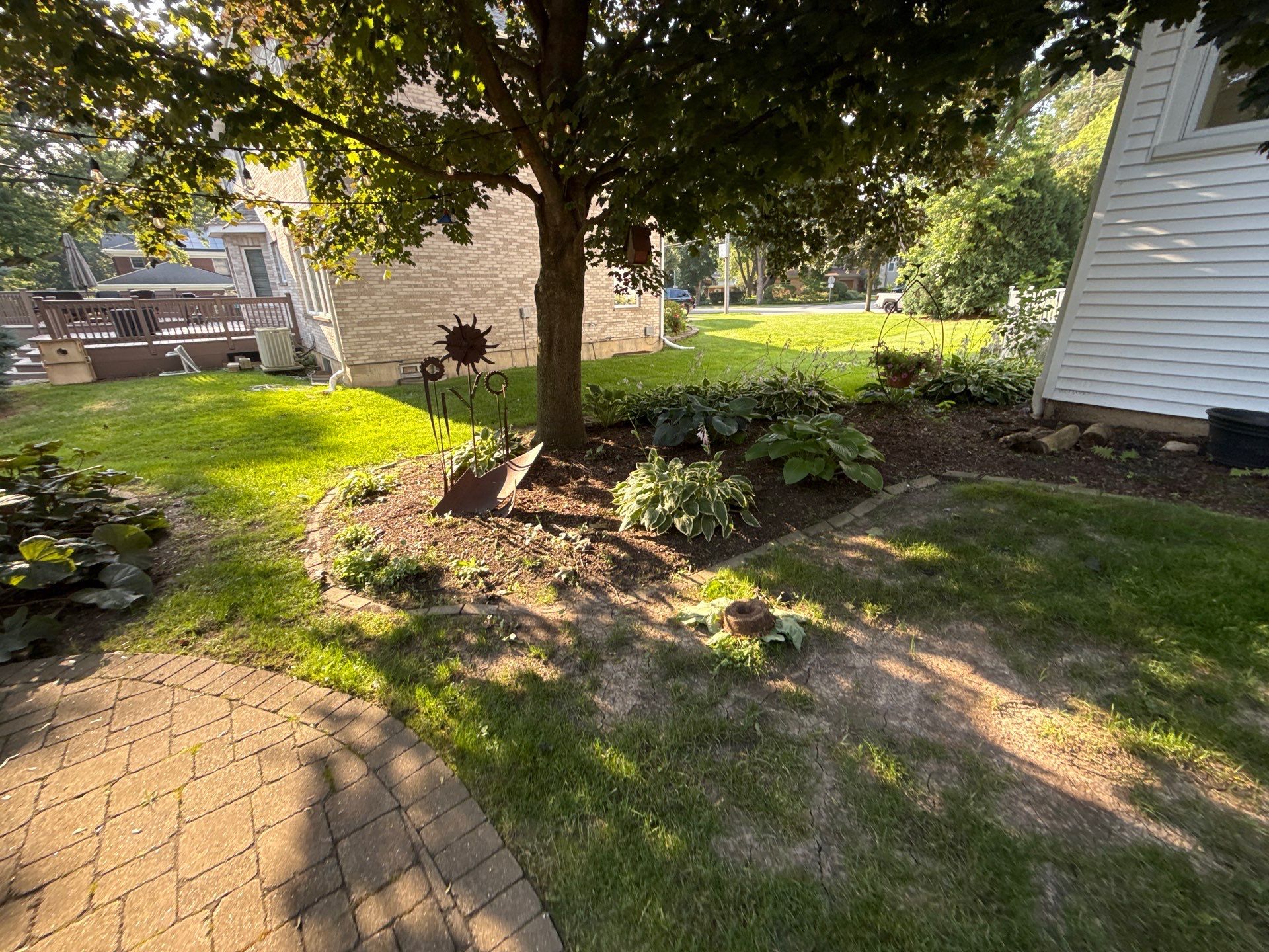 Lisa A. - Arlington Heights, IL by A&N