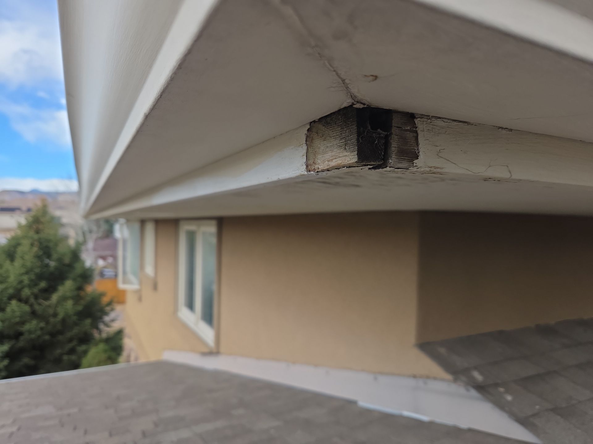 Soffit / Fascia Repair by RTP Roofing Company
