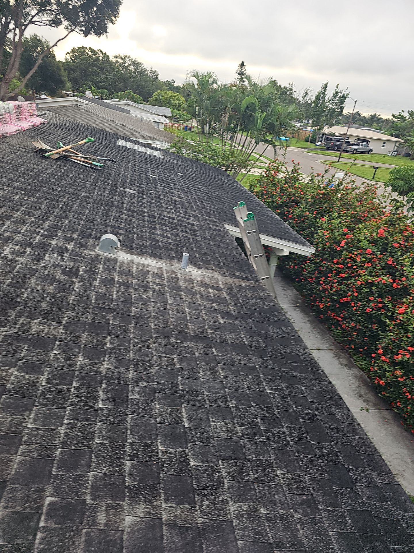 Project in Pinellas Park 33782 by Mitchell Roofing Company LLC