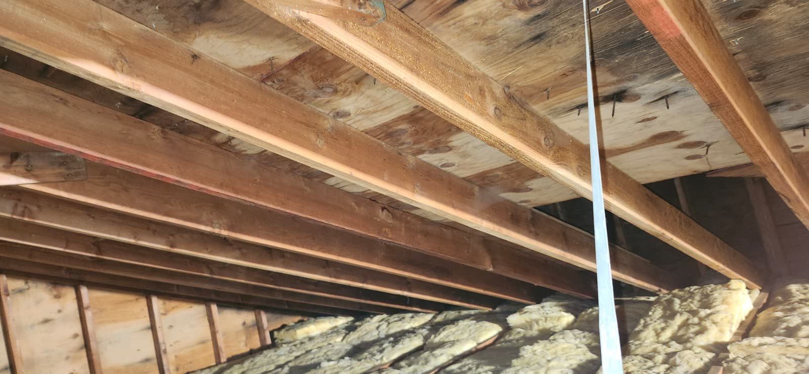 Attic Mold Remediation in Montville, NJ by Pure Service Pro, LLC