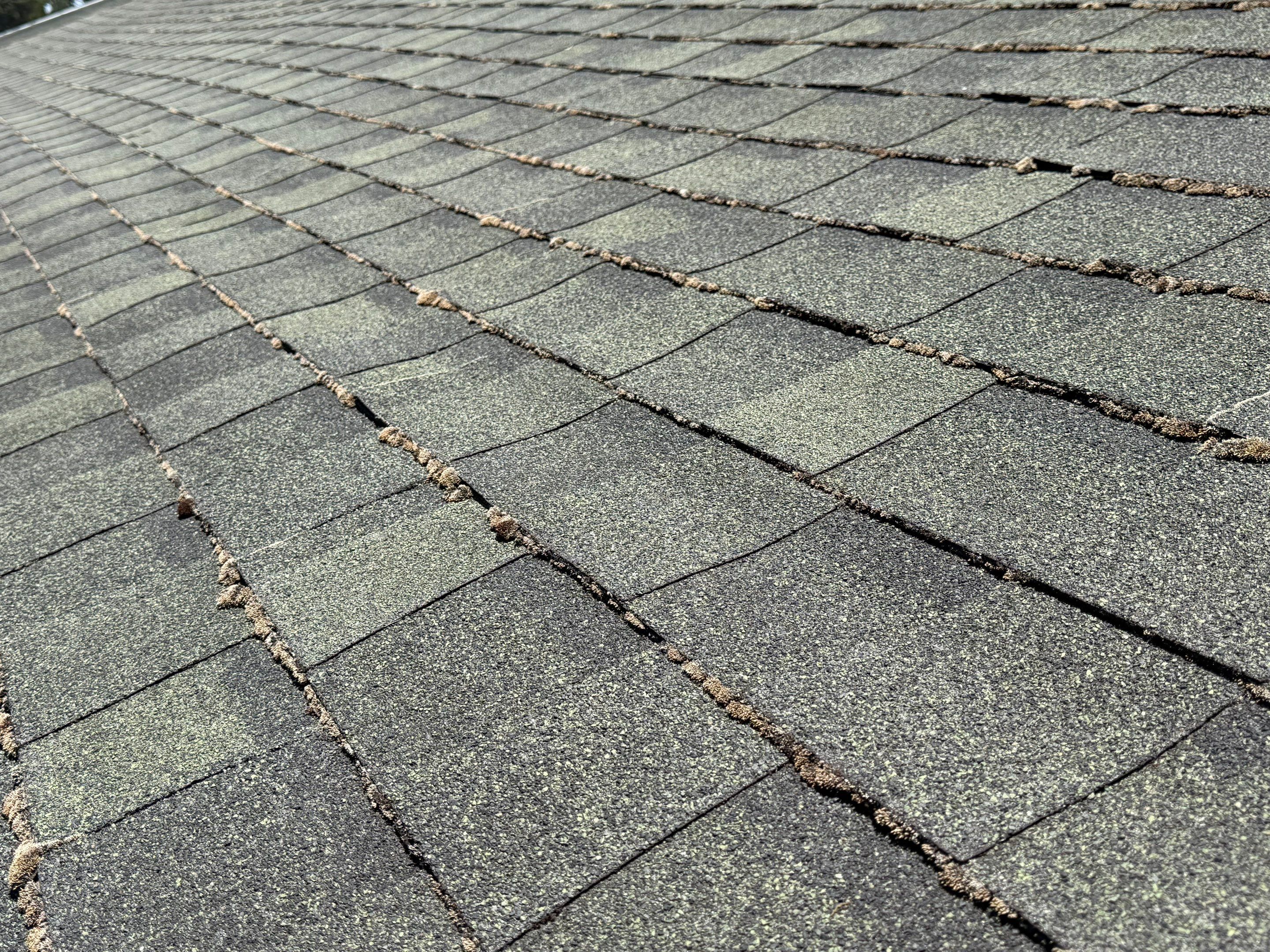 Alpha Eagle Roofing field photo 1