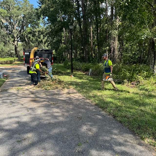 Deerwood Community | Contract Tree Work by ProGreen Services