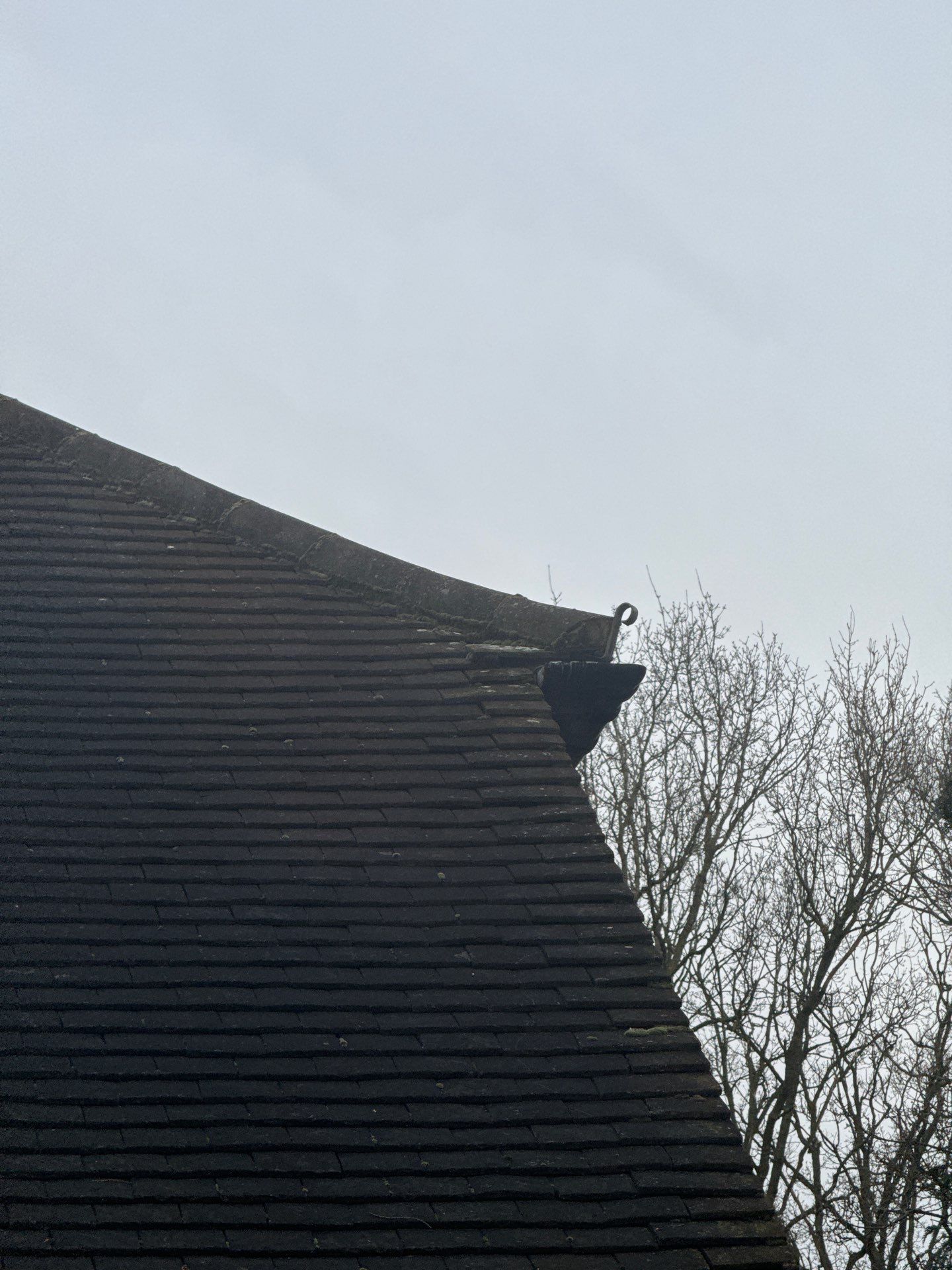Exterior Clean - Roof - Patio - Driveway using Mosmatic FSC and Biocide by Ges Exterior Cleaning ltd
