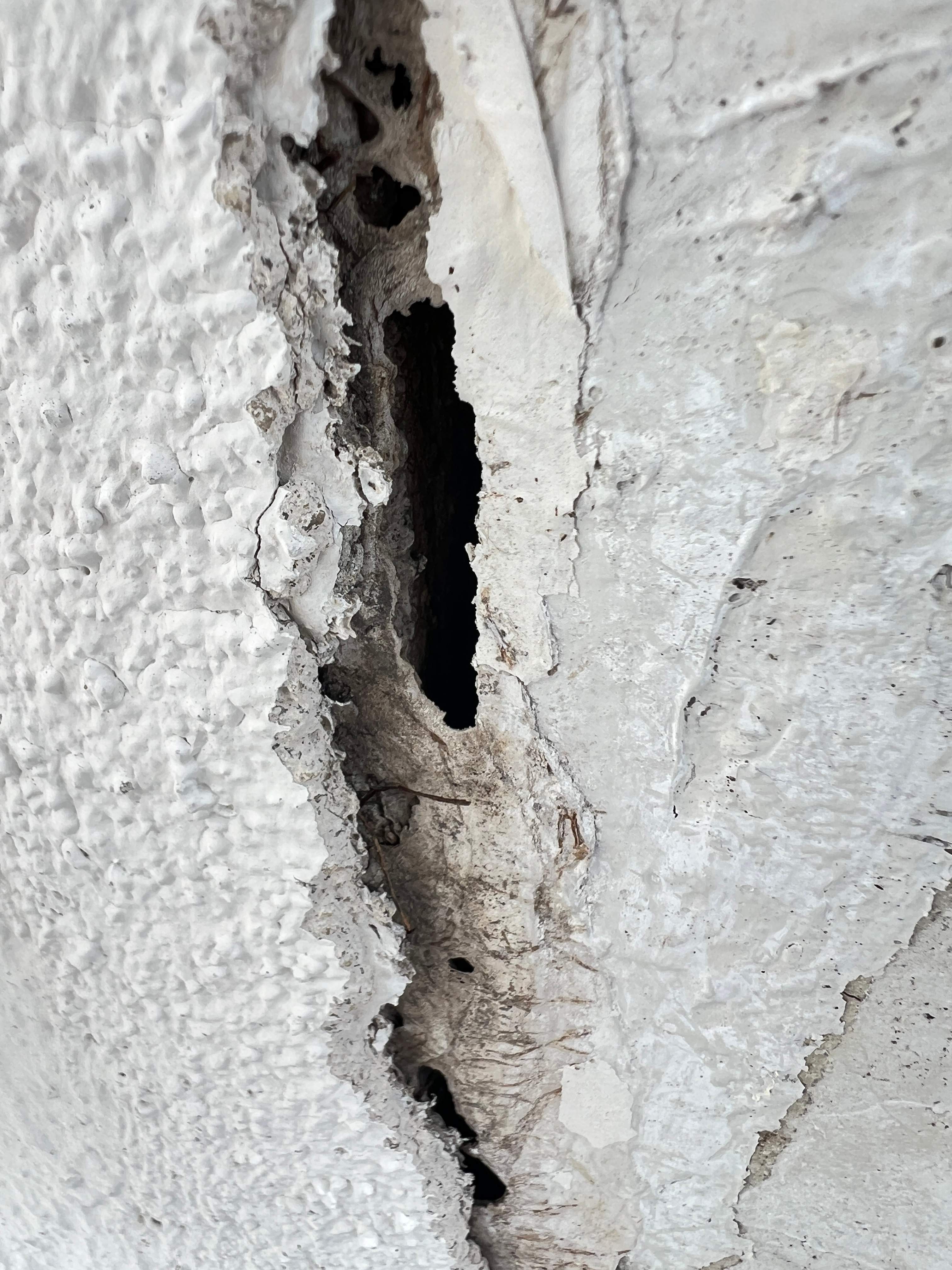 Roof Damage Claim in Sarasota by FLAPA & KeyStone