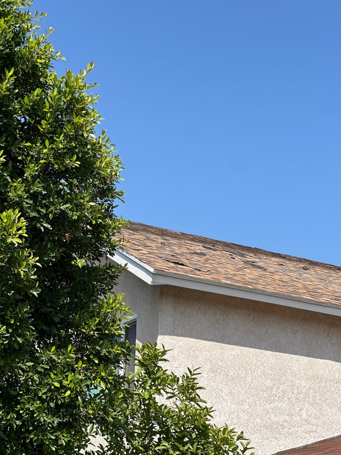 Roof Replacement - Castro Valley, CA 94546 by Epic Roof Replacement