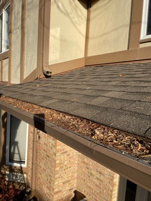Turtle Shell gutter protection installation in Naperville, IL 60565, photograph 21