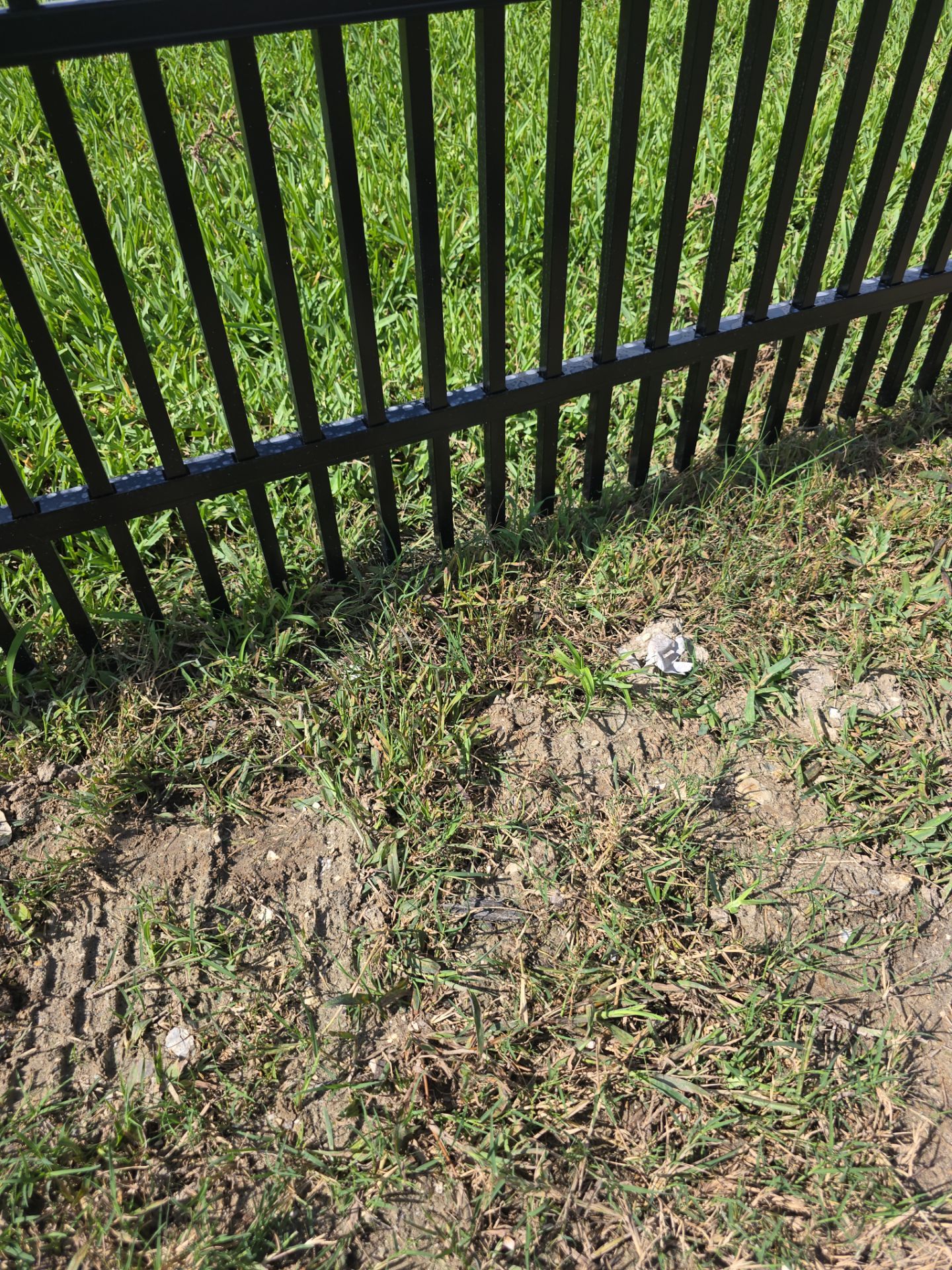 Puppy Picket Aluminum in Venice by True Fence LLC