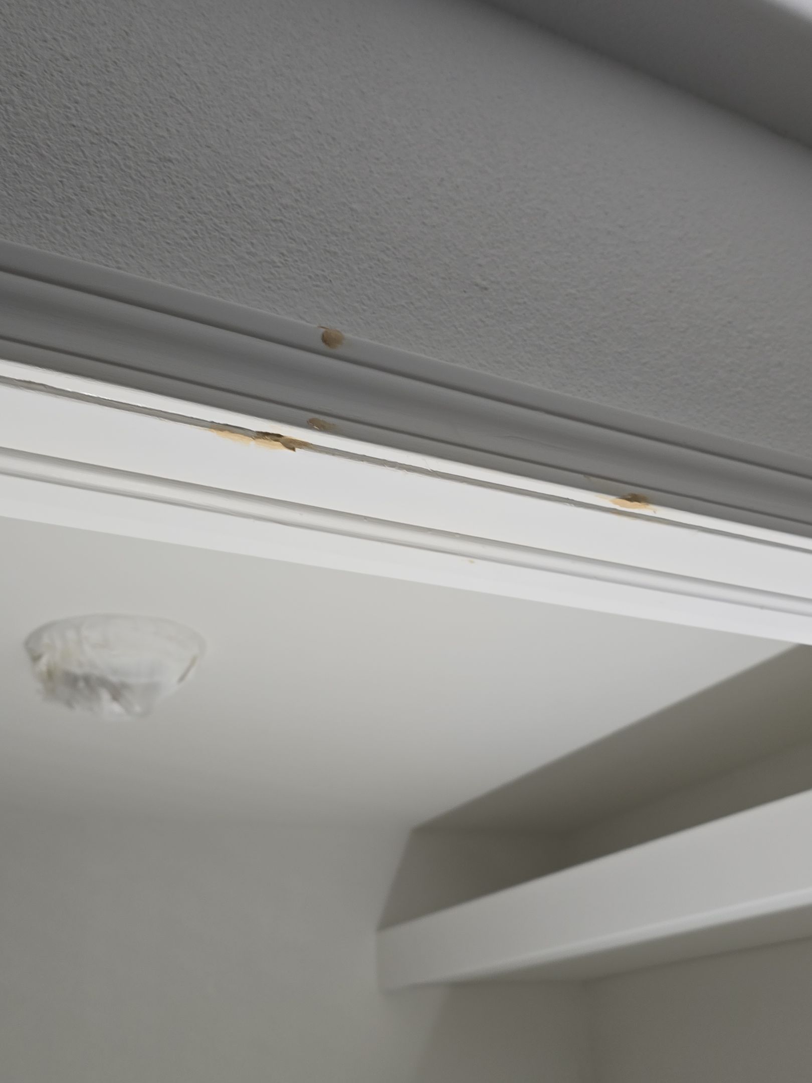 Honoring a 25‑Year Vision: A Home Finished to Last by J&M Painting LLC