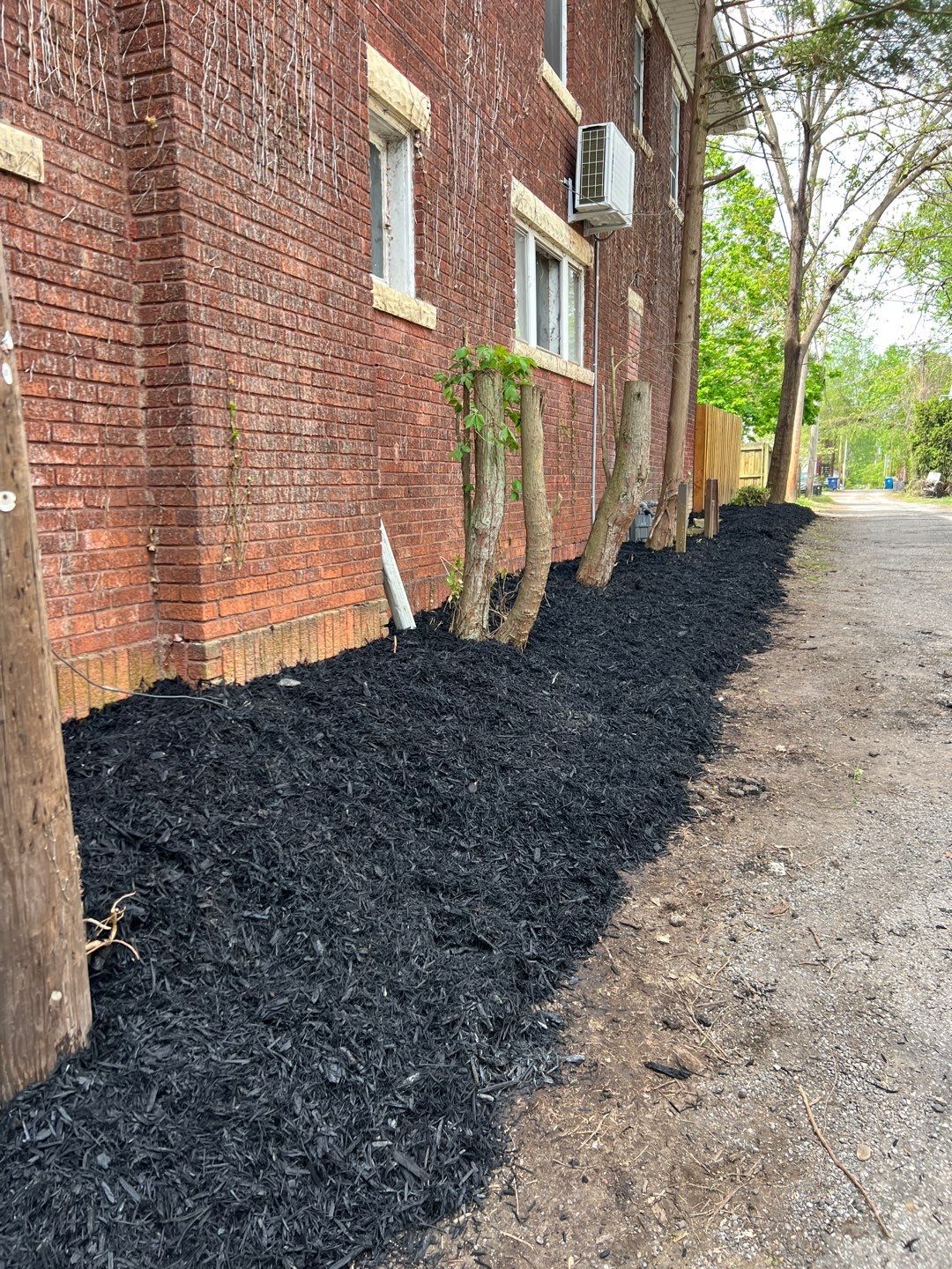 Sod Installation using Fescue Sod by GrassBusters, Inc.