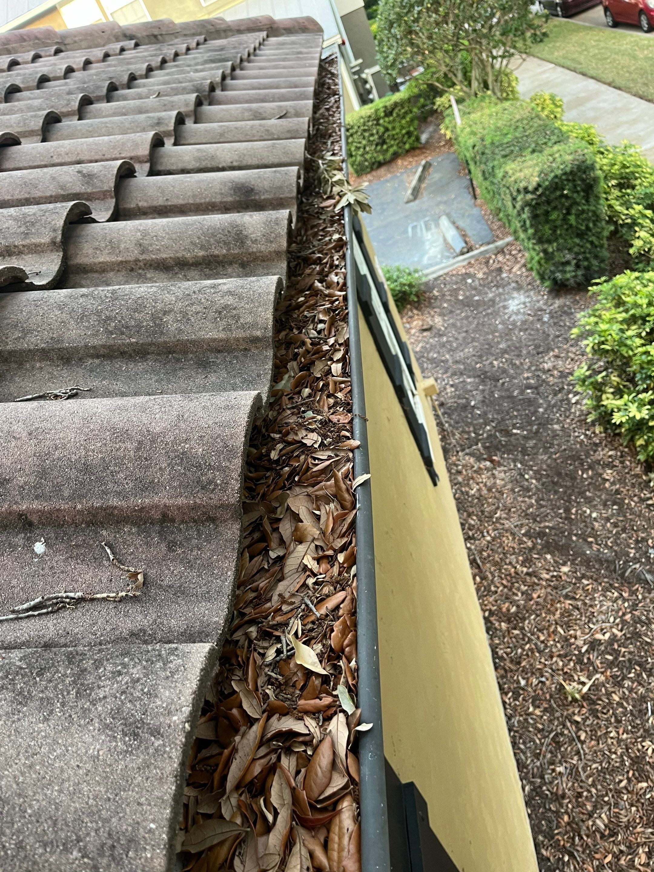 Commercial gutter cleaning Orlando, FL before photo with filled gutters