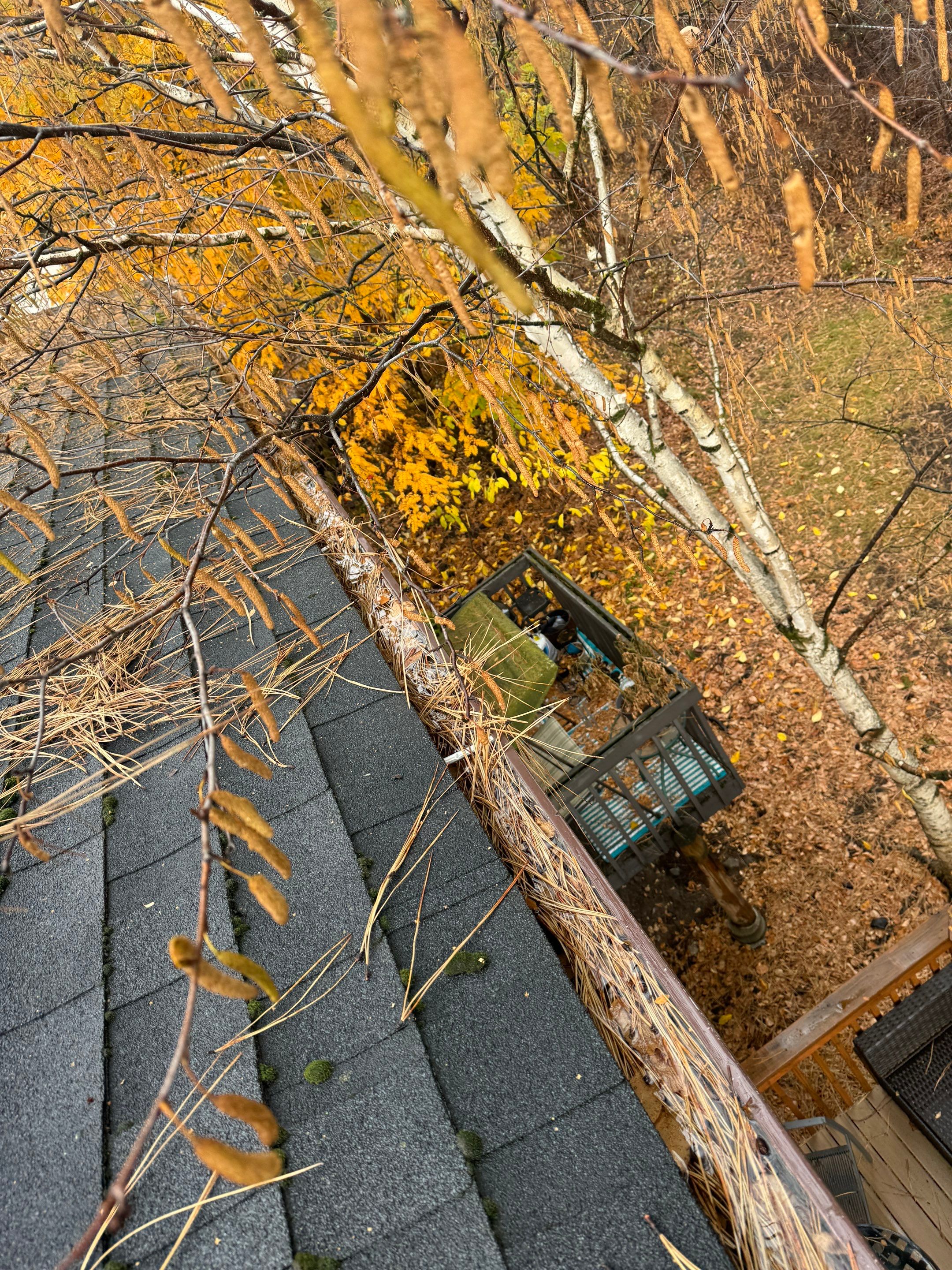 Commercial gutter cleaning Spokane before photo with filled gutters