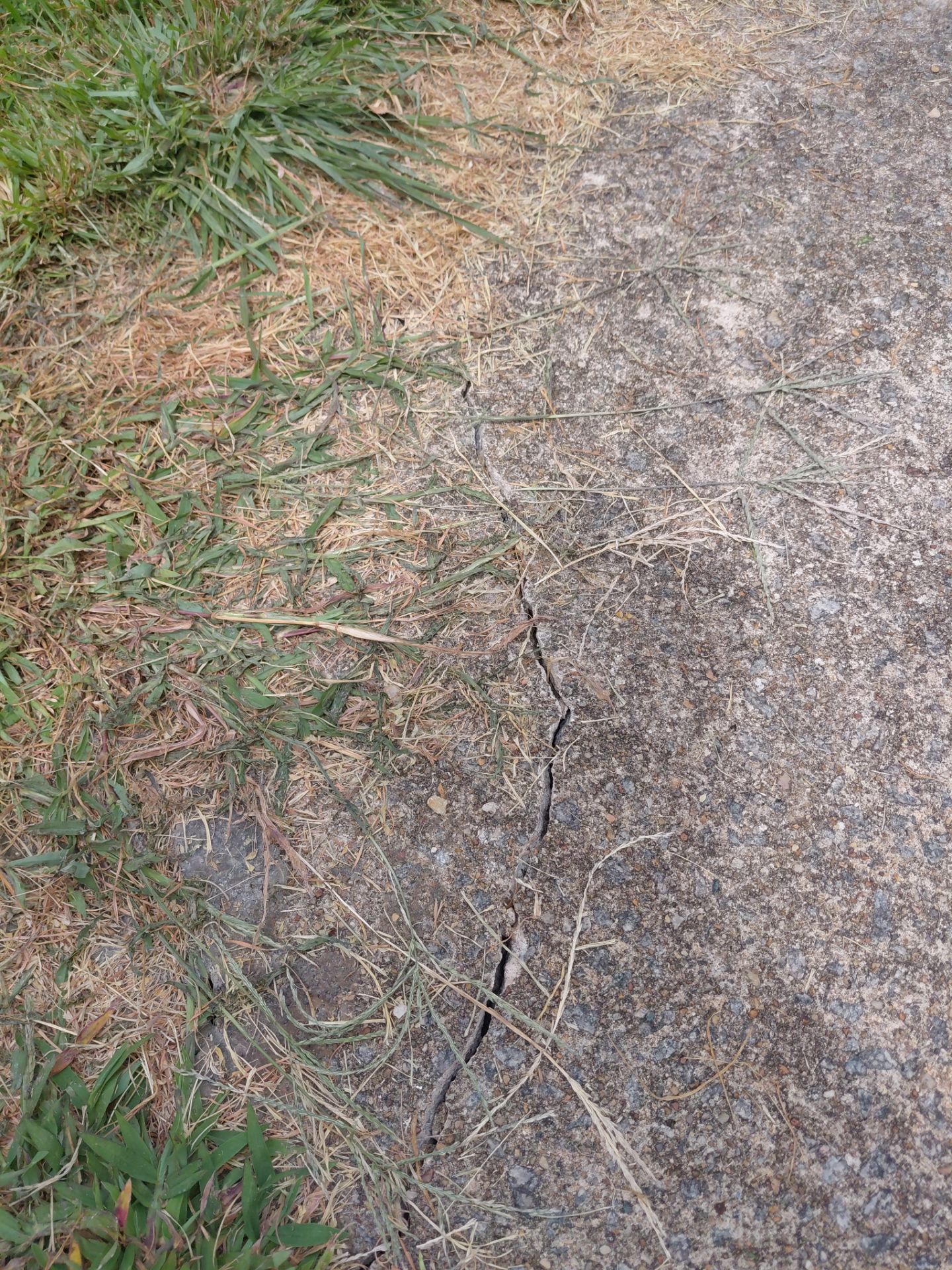 Alexandria :Residential Roof Replacement with CertainTeed Landmark Pro in Max Def Cobblestone Gray by RM Banning, Inc.