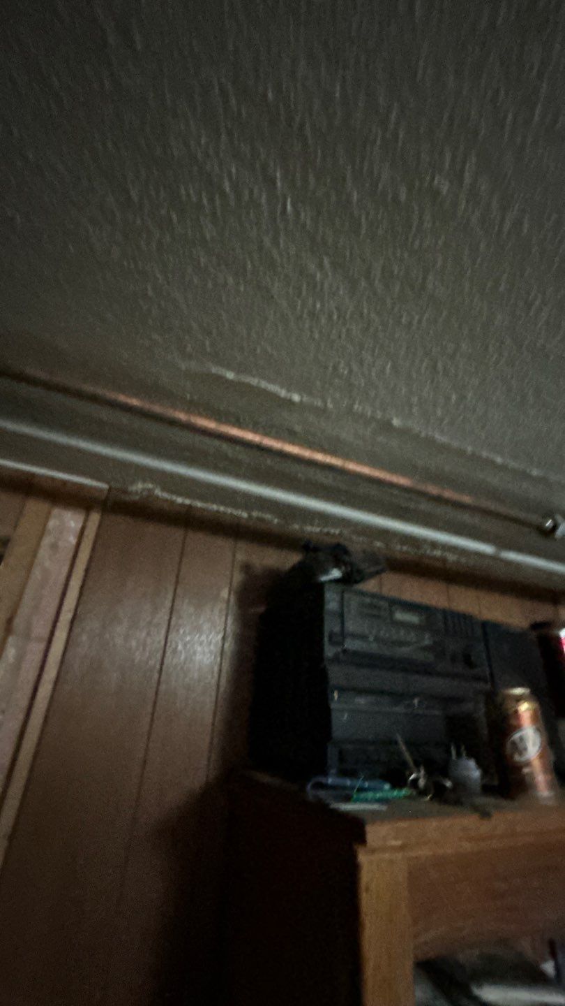 Mold Remediation by Accountable Home Services