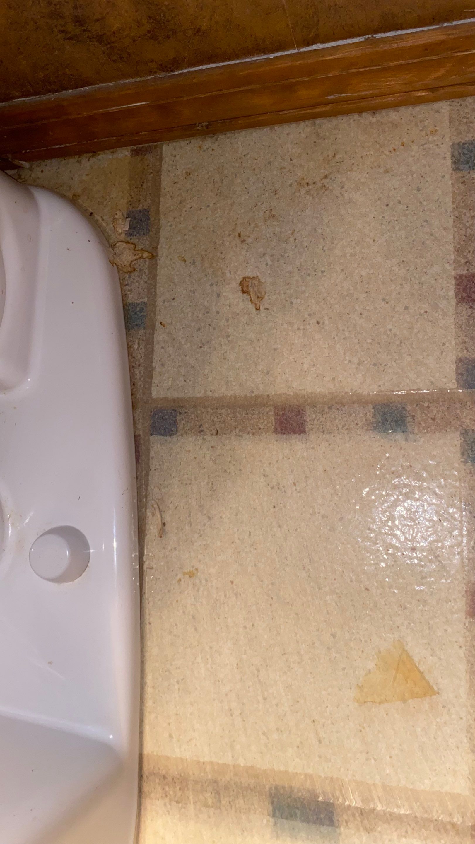 House cleaning in Lake Oswego by Cloud 9 Professional Cleaning Services