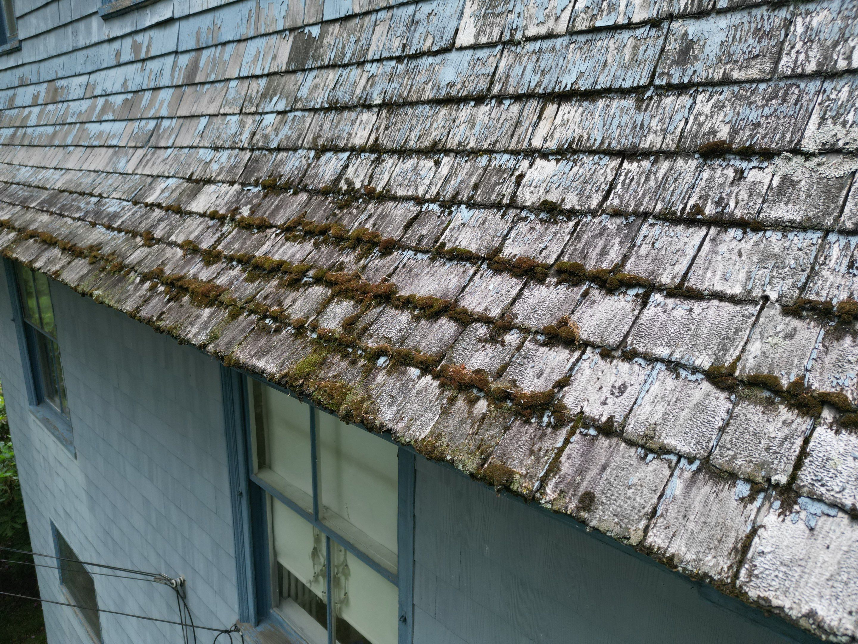 Transformation with CertainTeed Cedar Siding | Methuen by Mighty Dog Roofing of Greater Middlesex County
