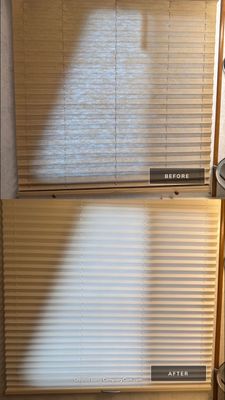 Project in Guntersville