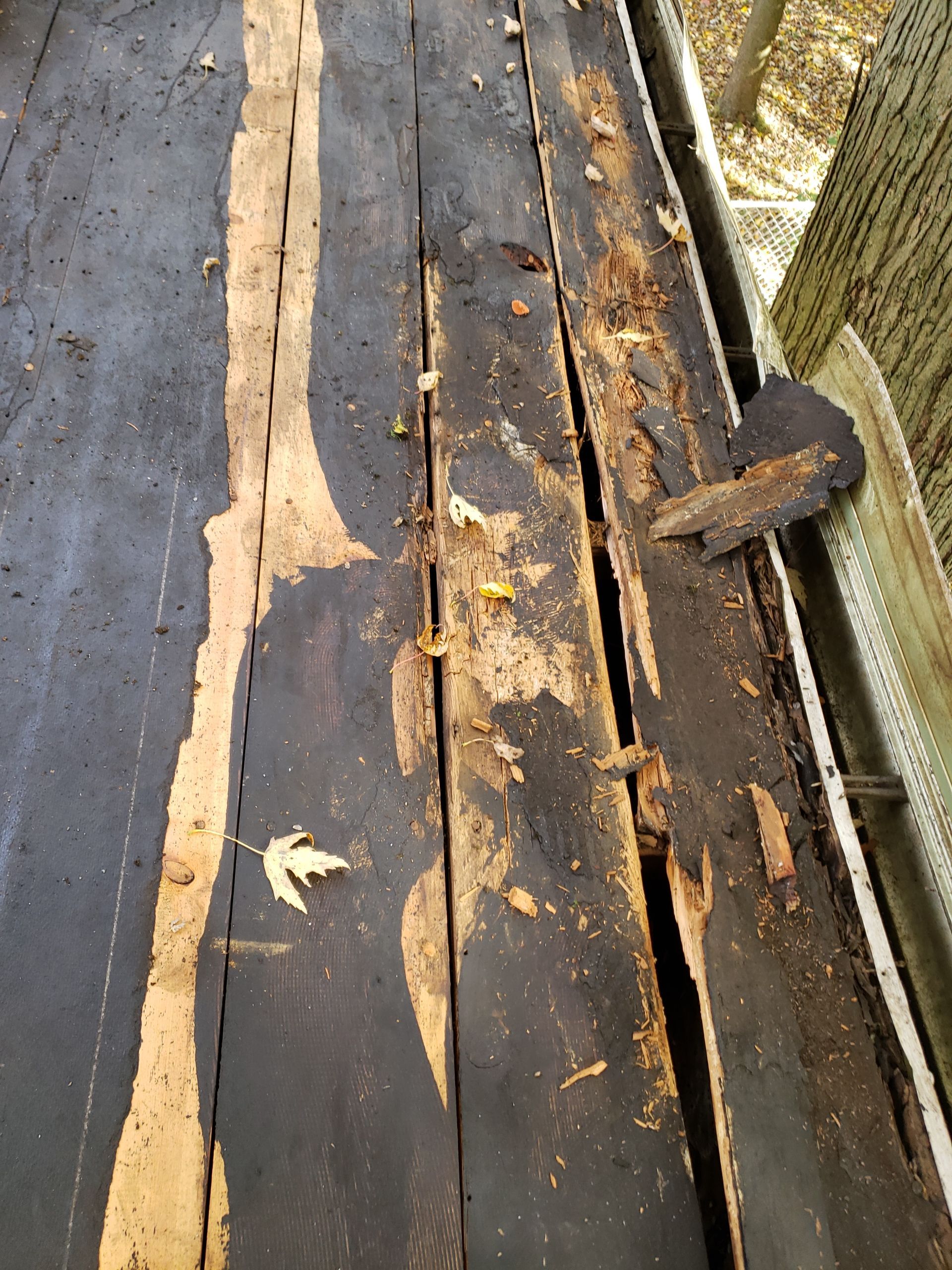 ATLAS PINNACLE COLOR: SCOTCHGARD COASTAL GRANITE DRIP EDGE: WHITE by Eagle Eye Roofing