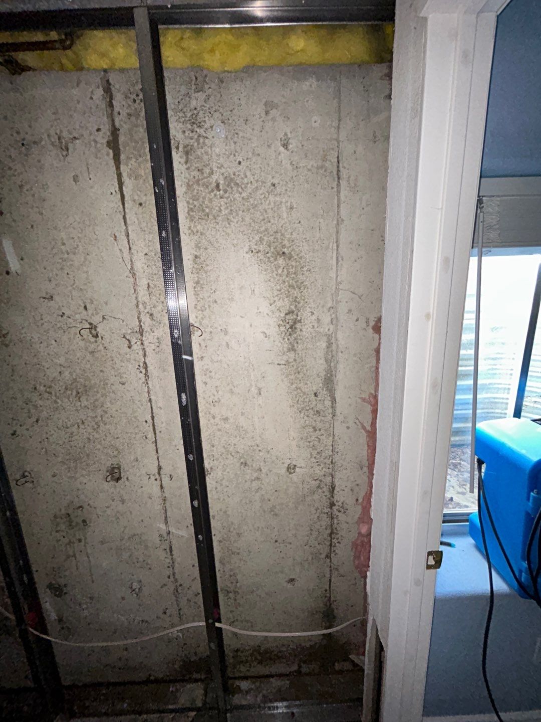 Mold Remediation by Accountable Home Services