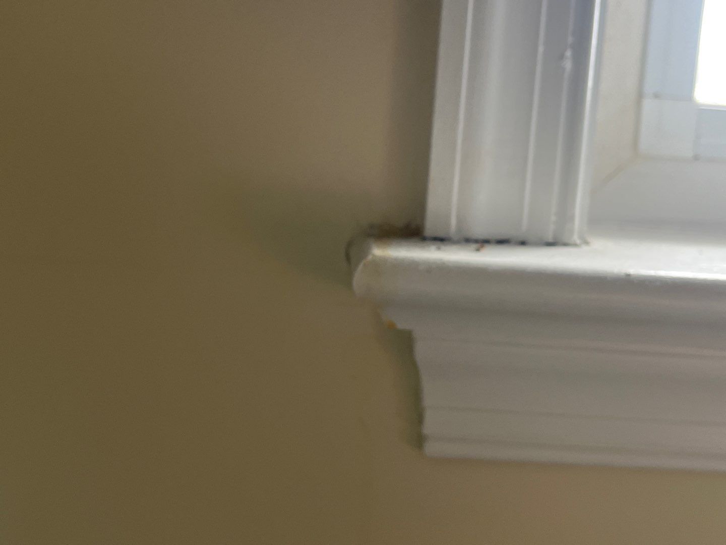 Project in Ocean City by FreshCoat Works LLC