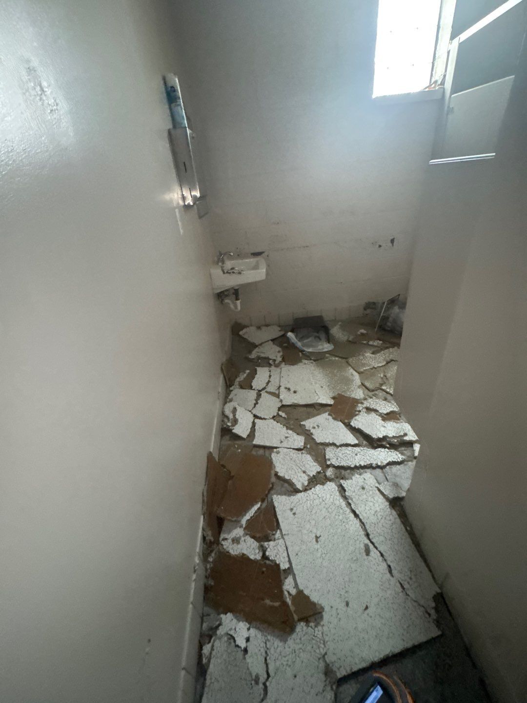 Project in Royal Oak by EzDry Water Mitigation & Property Restoration