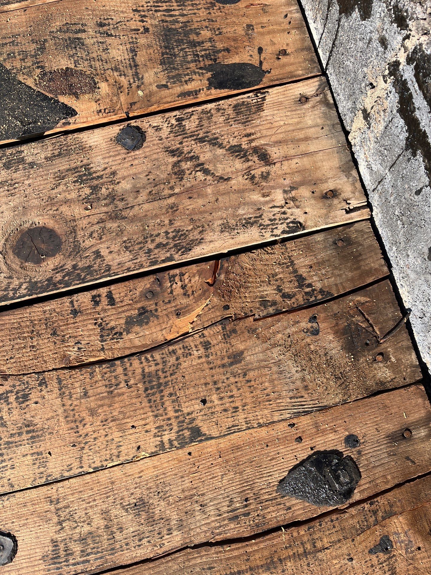 Alexandria: Residential Flat Roof Replacement with Mule Hide TPO Membrane by RM Banning, Inc.