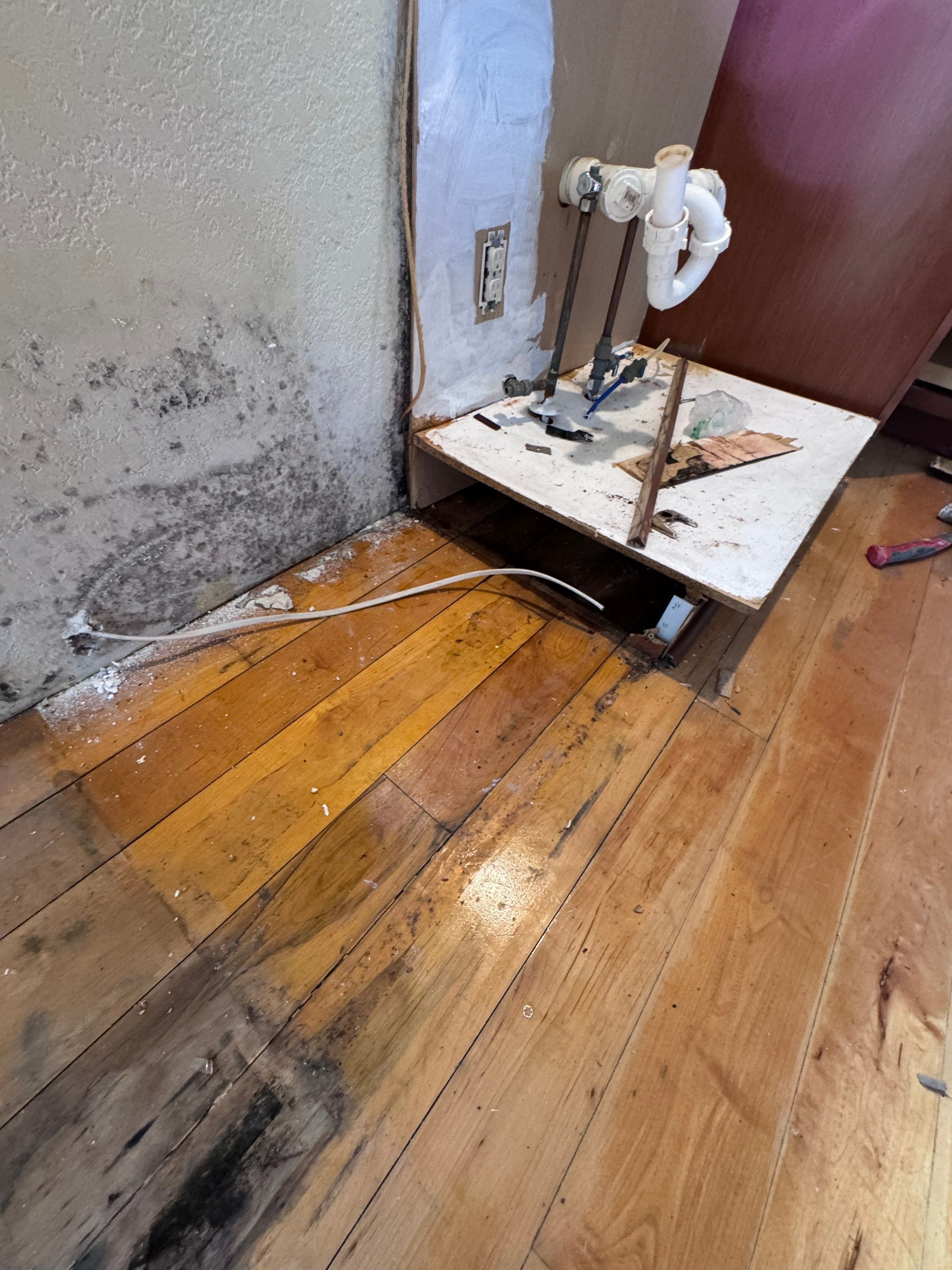 Mold Remediation in Muskego by Dry Source Property Restoration