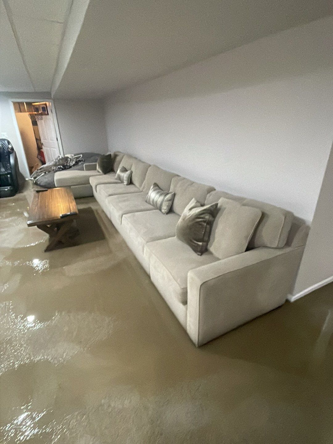 Project in Troy by EzDry Water Mitigation & Property Restoration